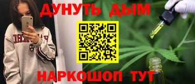 крисы Гатчина
