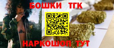 крисы Гатчина