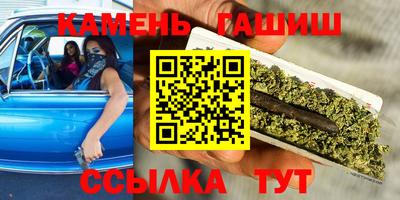 крисы Гатчина