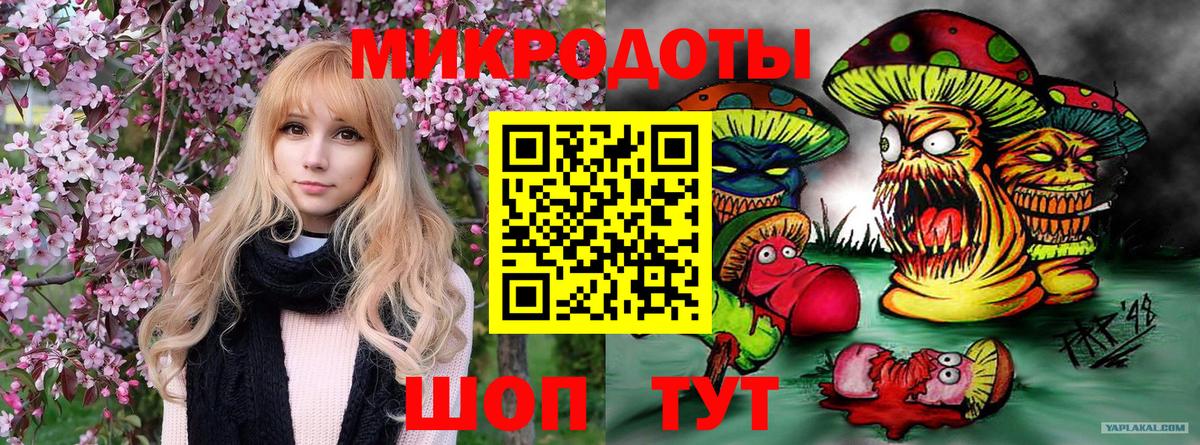 дарнет шоп  Галлюциногенные грибы Magic Shrooms  Иркутск  Вход с VPN  Псилоцибиновые грибы Psilocybine cubensis 