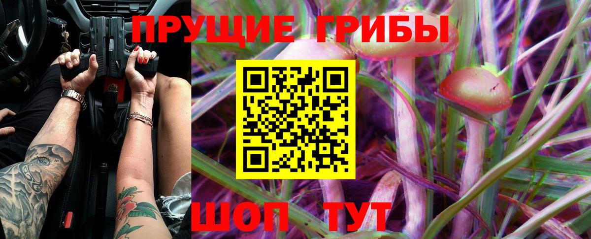 Галлюциногенные грибы Psilocybe Иркутск